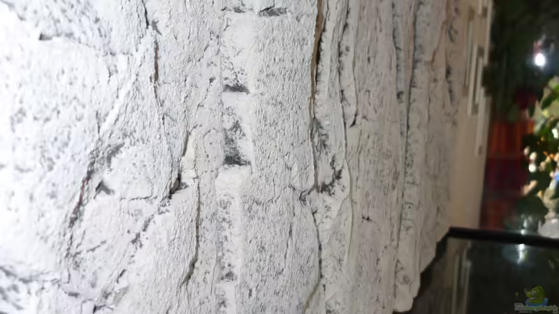 Rückwand von Christiane Feldmann (26)