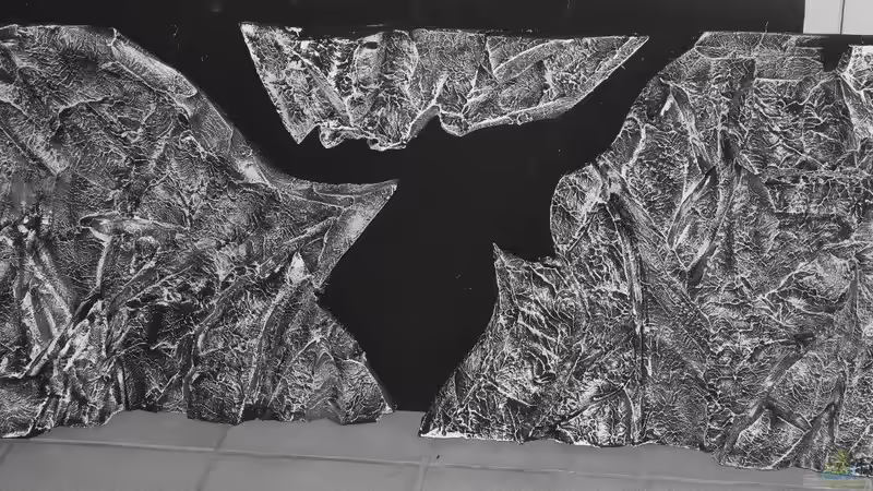 Rückwand von da Dida (12)