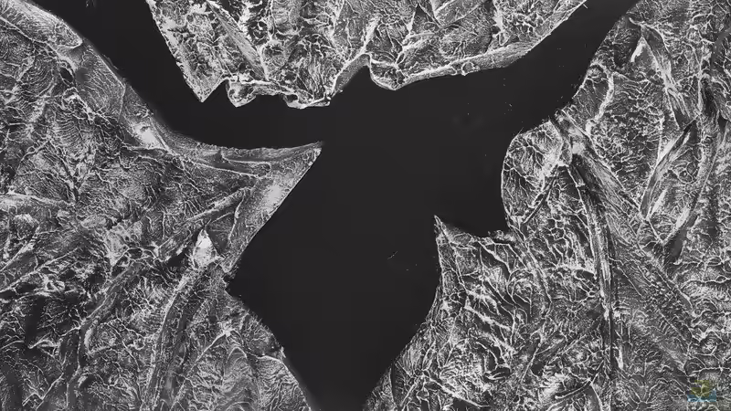 Rückwand von da Dida (13)