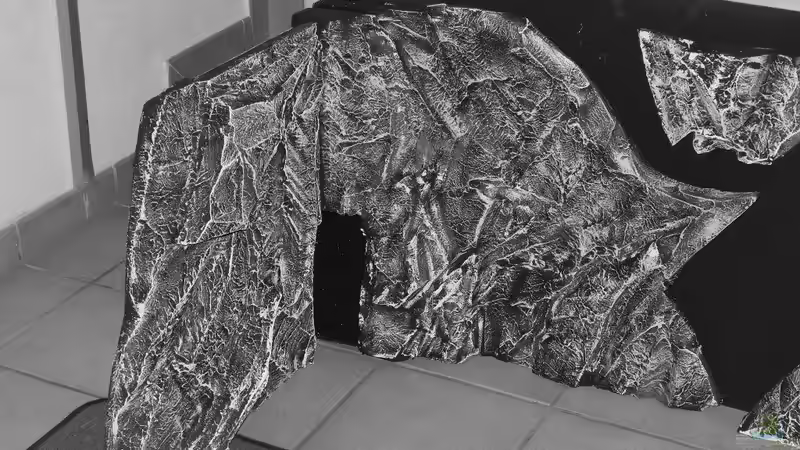 Rückwand von da Dida (14)