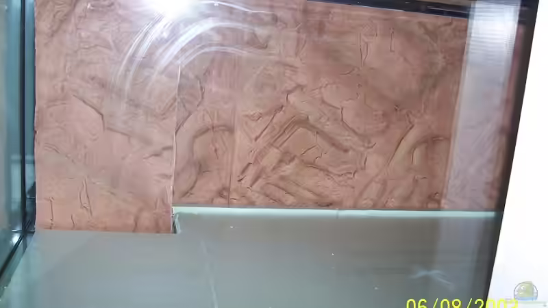 Rückwand von Daniel Kurz (6)