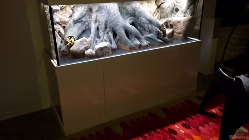 Rückwand von Dobermanfred (3)