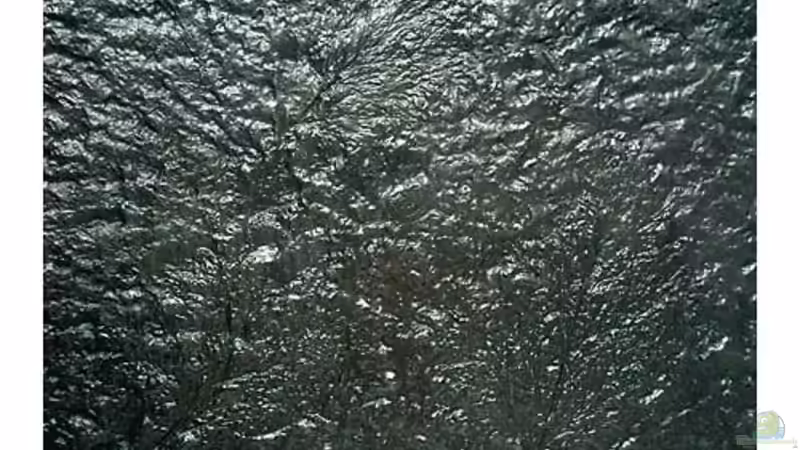 Rückwand von Fabian Kaasool (3)