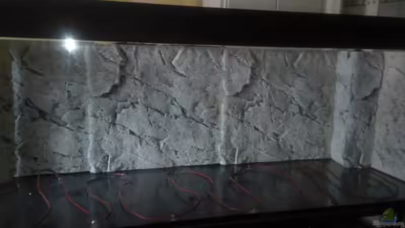 Rückwand von Francesco (6)