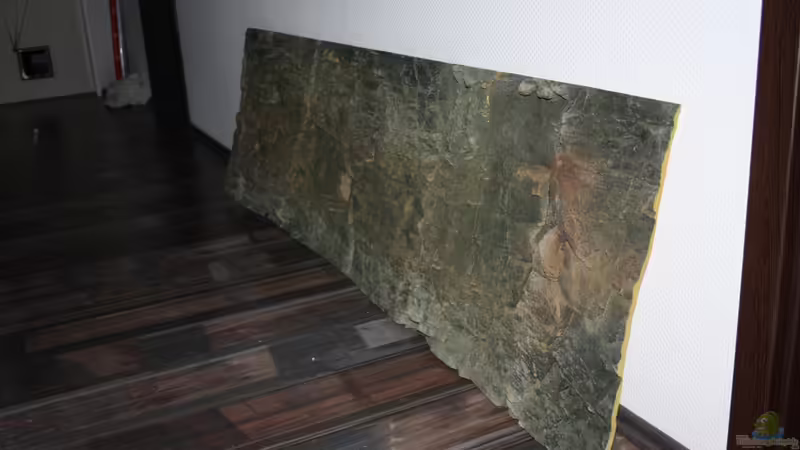 Rückwand von Hot (24)