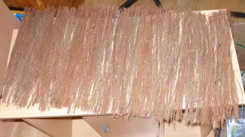 Rückwand von Maja Knodel (13)