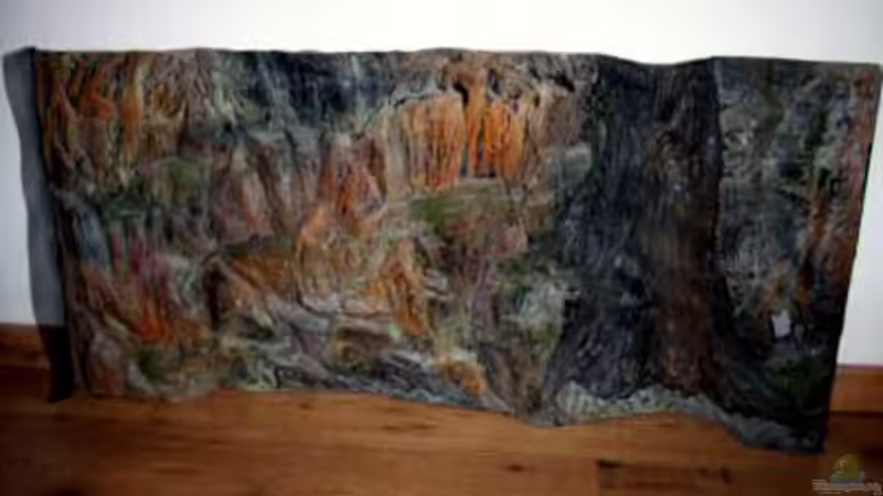 Rückwand von Marcus Egeling (4)