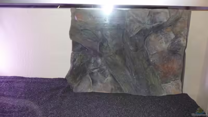 Rückwand von Mario Kosowski (5)