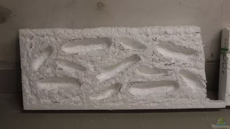 Rückwand von maxheadroom (31)