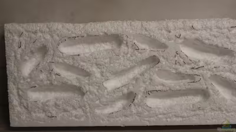 Rückwand von maxheadroom (32)