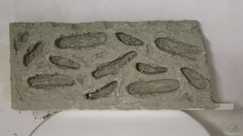 Rückwand von maxheadroom (35)