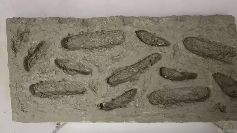 Rückwand von maxheadroom (37)