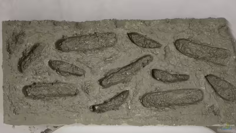 Rückwand von maxheadroom (38)