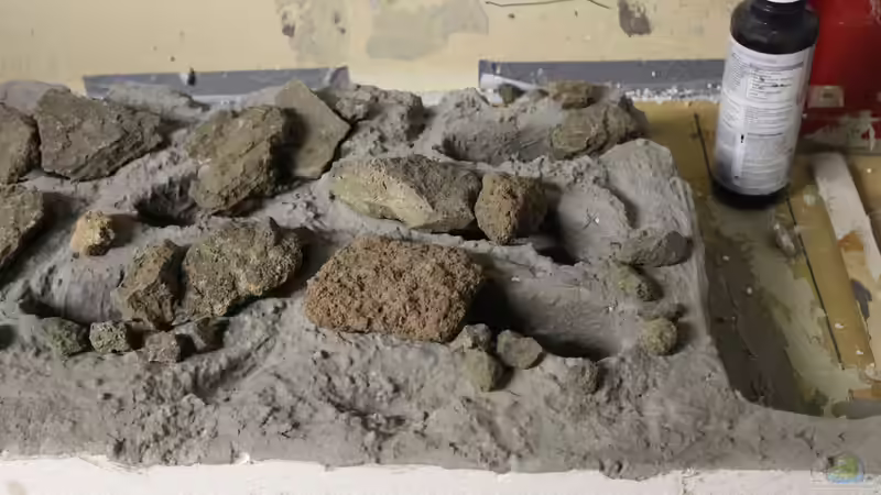 Rückwand von maxheadroom (40) (45) (56) (71) (72)