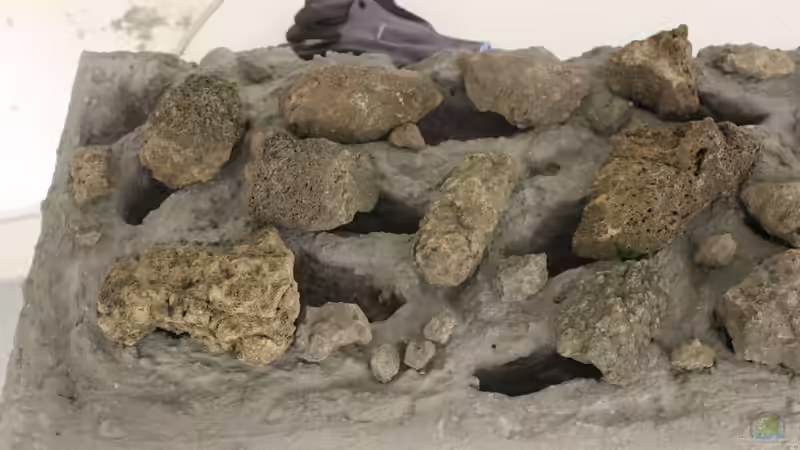 Rückwand von maxheadroom (41)