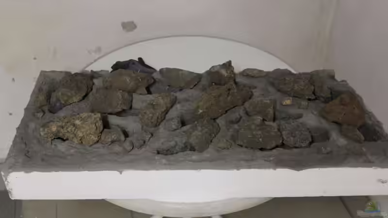 Rückwand von maxheadroom (42)