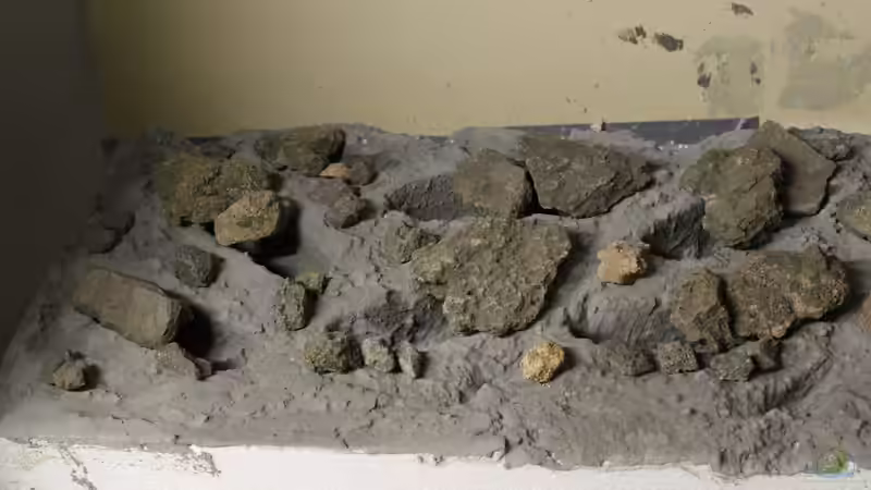 Rückwand von maxheadroom (43)