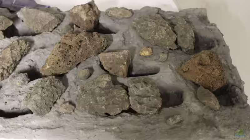 Rückwand von maxheadroom (44)