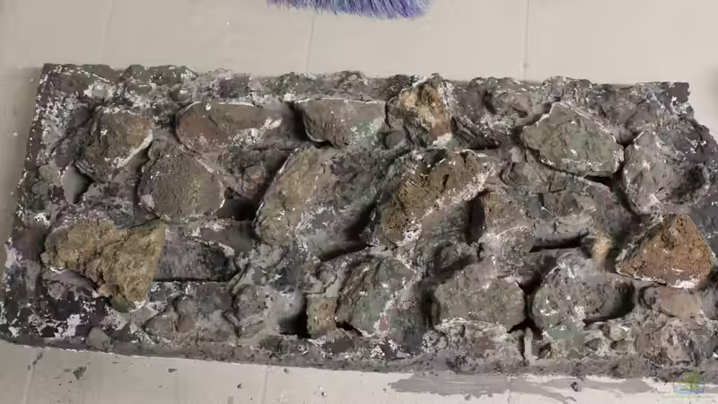 Rückwand von maxheadroom (57)