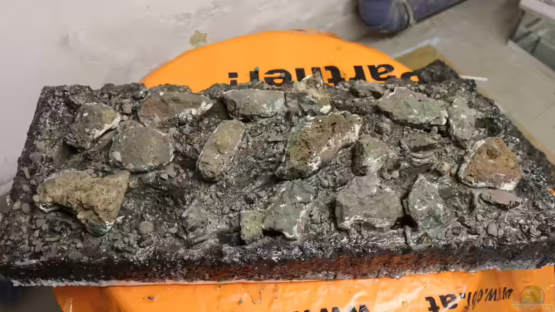 Rückwand von maxheadroom (58)