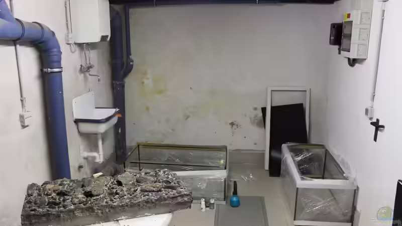 Rückwand von maxheadroom (59)