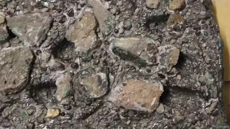 Rückwand von maxheadroom (63)