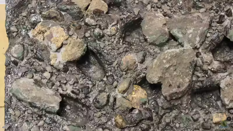 Rückwand von maxheadroom (64)