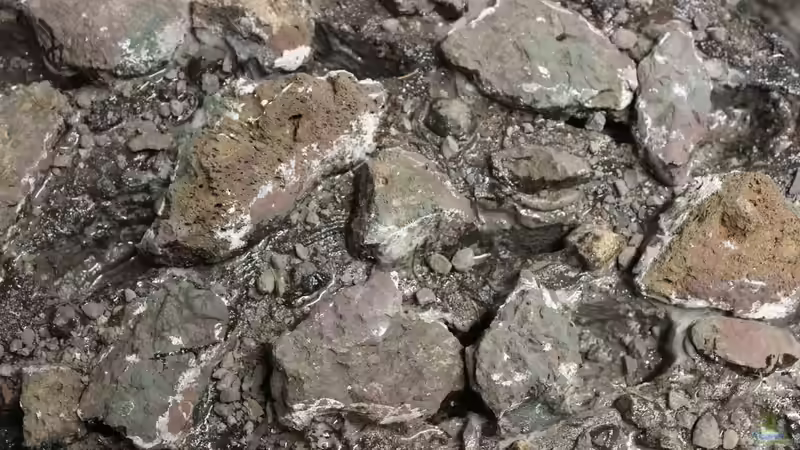 Rückwand von maxheadroom (70)