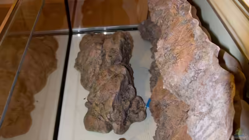 Rückwand von oben von Markus Walter (13)