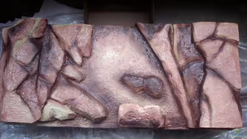 Rückwand von Operator (5)