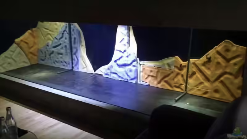 Rückwand von Pearlray (13)