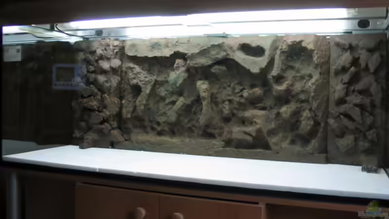 Rückwand von Pille (4)