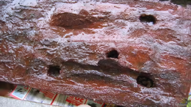 Rückwand von Sascha Biedermann (7)