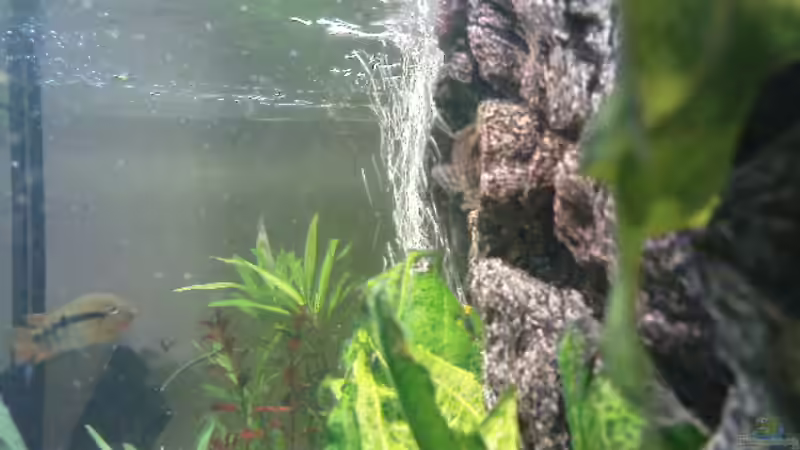 Rückwand von Stgt.WEST (18)