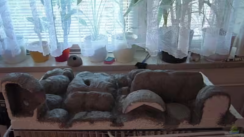 Rückwand von unten von Malawi TOM (24)