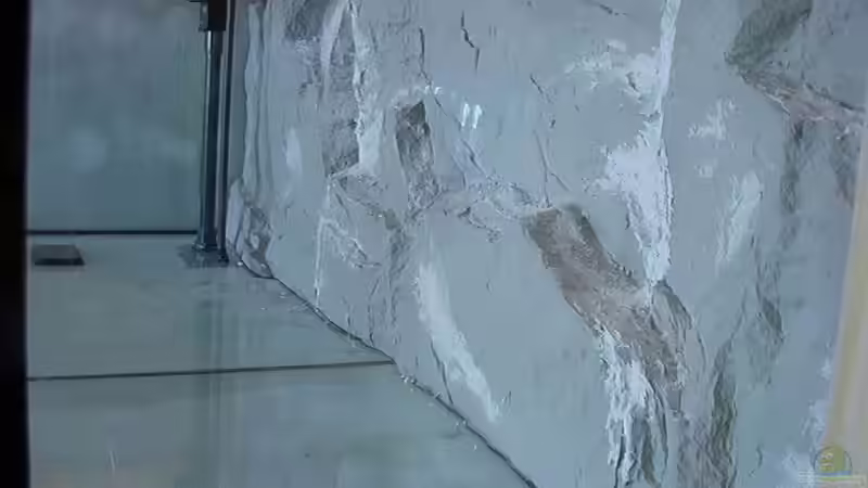 Rückwand von Wolfs Atelier von Georg Seidl (5)