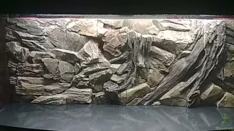 rückwand (wirkt auf den fotos heller) von Falk Bellmann (25)