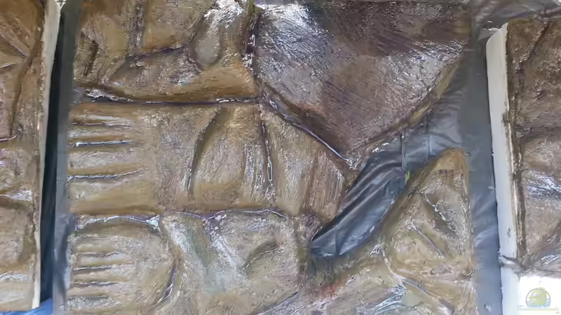 Rückwand2 von Sascha Frankfurt (16)