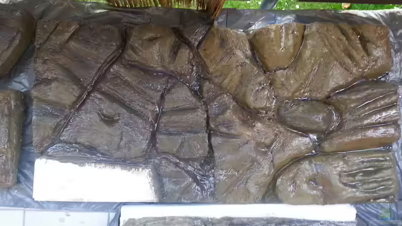 Rückwand3 von Sascha Frankfurt (17)