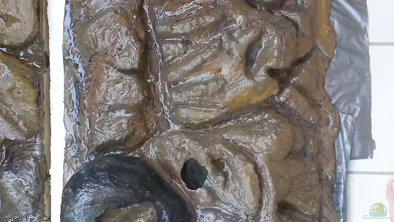 Rückwand4 von Sascha Frankfurt (18)