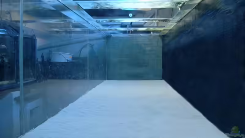 Rückwandbeschichtung von Helgo Jacob (2)