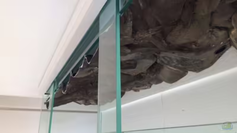 Rückwandeinbau von Captain Gü (35)