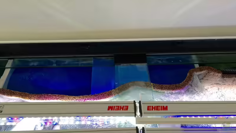 Rückwandfilter und Eheim Power Led von Dobermanfred (4)