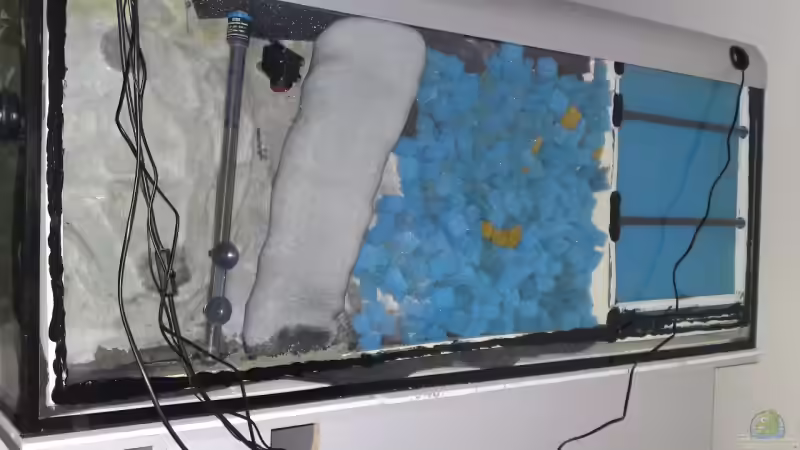 Rückwandfilter von Debby & Daniel (16)