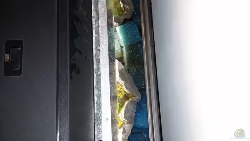 Rückwandfilterung von MarSchel (6)