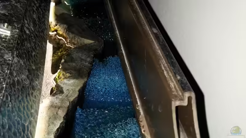 Rückwandfilterung von MarSchel (7)