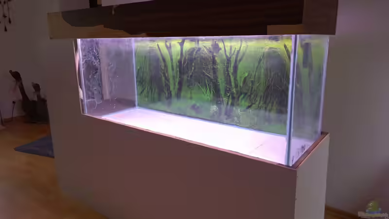 Rückwandfoto angelebt von Hans-Walter Bandt (6)