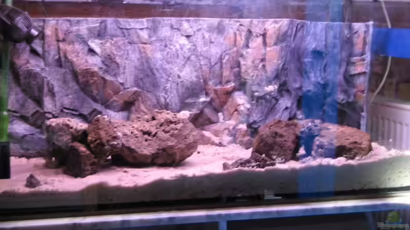 Rückwandh + Sand + Steine von Gladbacherfohlen86 (6)