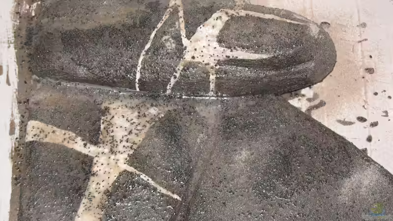 Rückwandmudul links hinten von der Theoretiker (52)