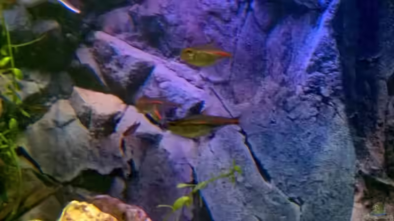 Rückwandposter 3d von Lars Ascher (41)